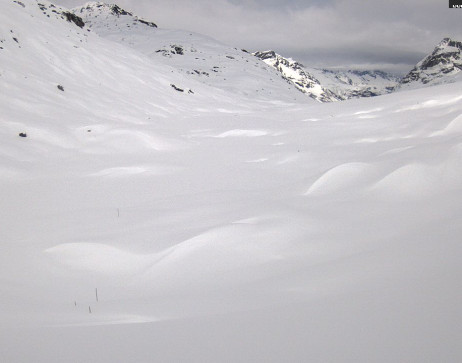 Heilbronner Hütte: Scheidsee