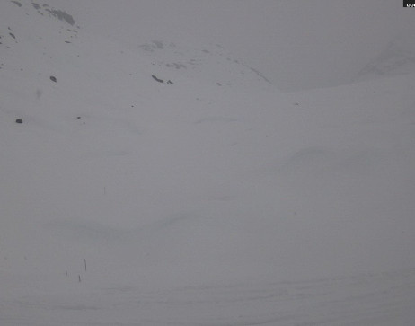 Heilbronner Hütte: Scheidsee