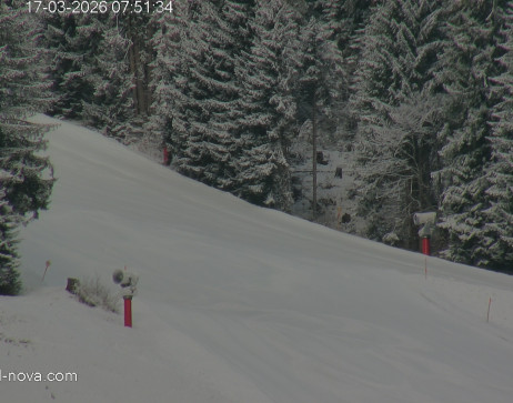 Gaschurn: Blick zur Talabfahrt
